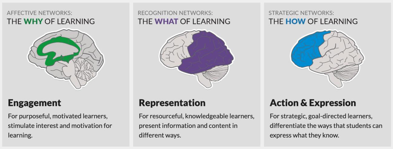 UDL Framework | eCampusOntario H5P Studio