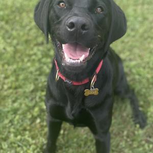 User picture for Catie Sahadath